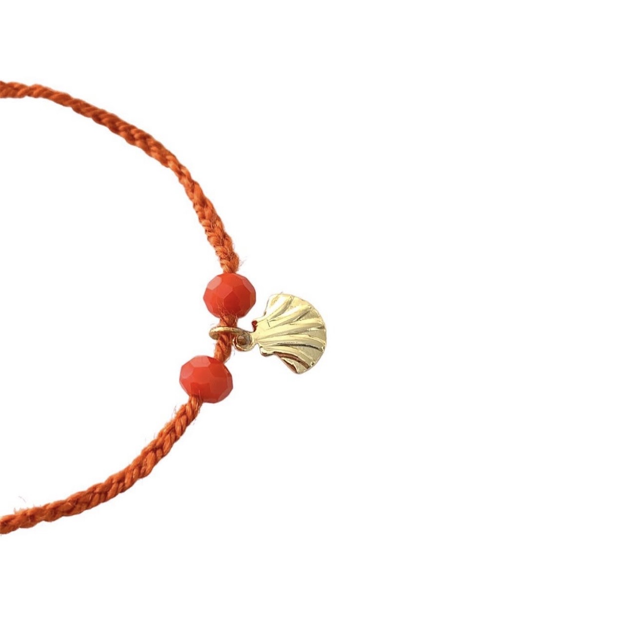 Seashell image 2